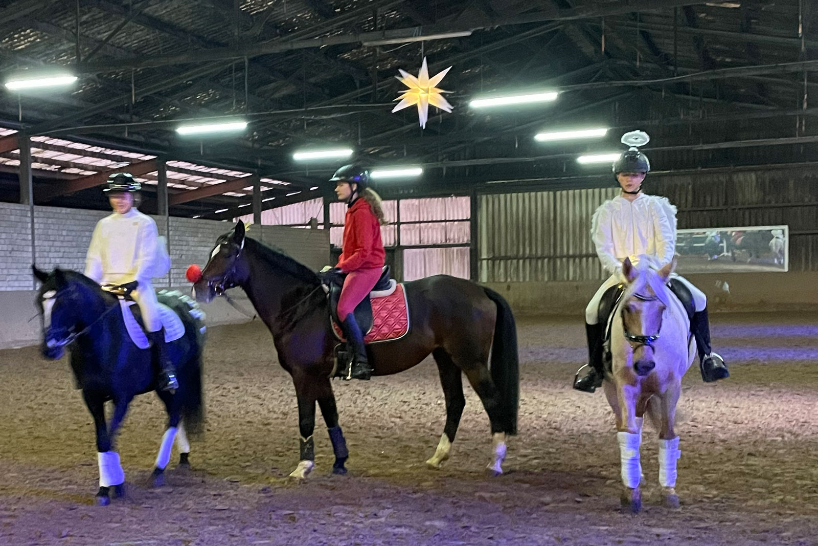 Drei Reiter in der Reithalle unter einem leuchtenden Weihnachtsstern